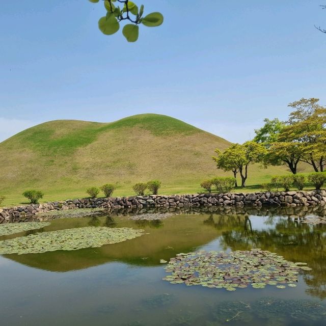 포토존이 예쁜  경주 대릉원