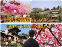 2023探索慶州古文化2行程規劃第2天分享