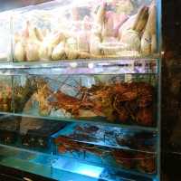 堅係鮮。超正任食生猛活海鮮雞煲火鍋