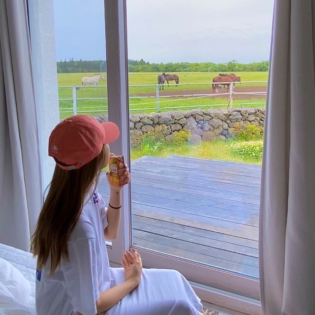 🍊제주 이색숙소 조랑말뷰 숙소 포니제주🐴