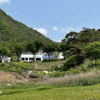 한국에서 스위스 풍경을 볼 수 있는 카페🌿💚