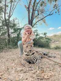Safari Park กาญจนบุรี 
