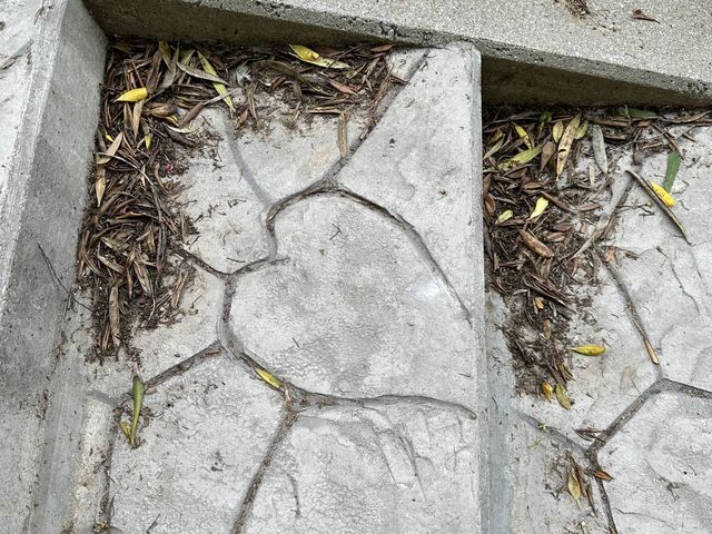 縁結びの神様 粟島神社