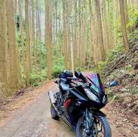珍布峠
