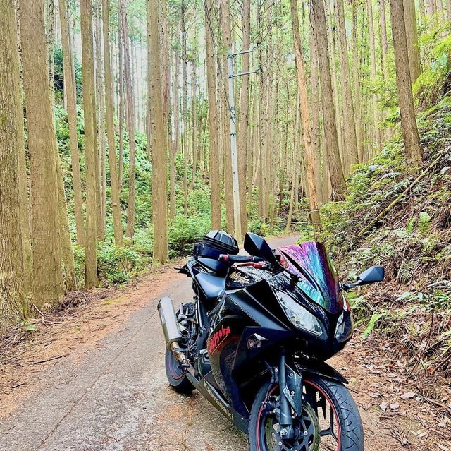 珍布峠