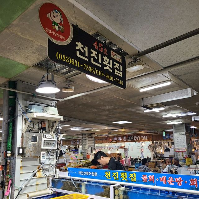 속초 수산시장 천진횟집!