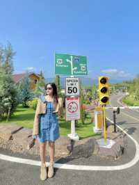 ที่พัก&คาเฟ่ เขาใหญ่