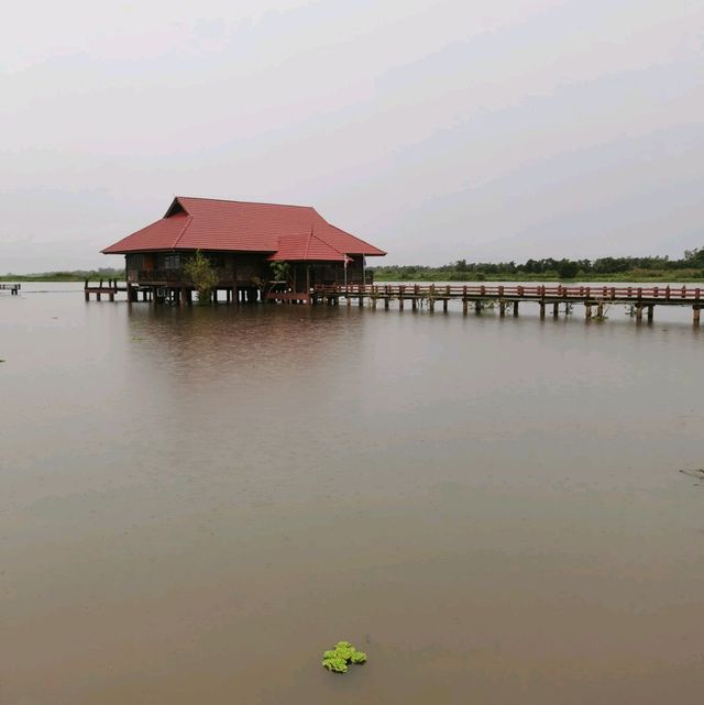 博他崙 Thale Noi 荷花湖