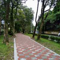湖畔漫步🌳🏞️台北碧湖公園💎