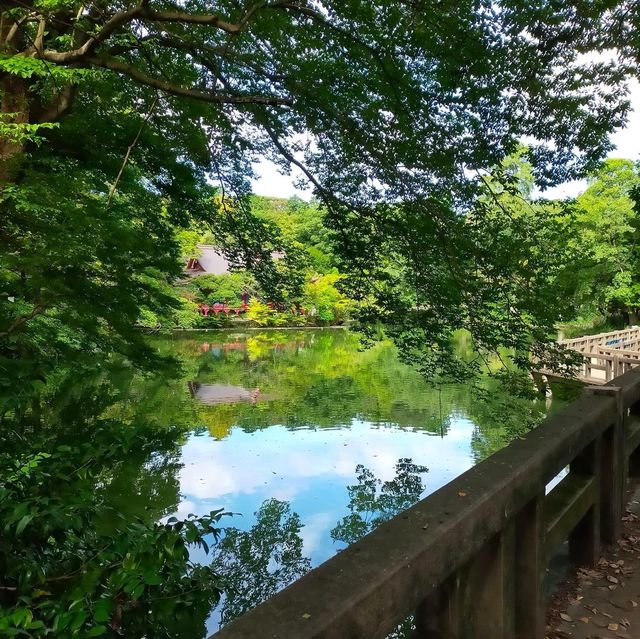 Inokashira park 