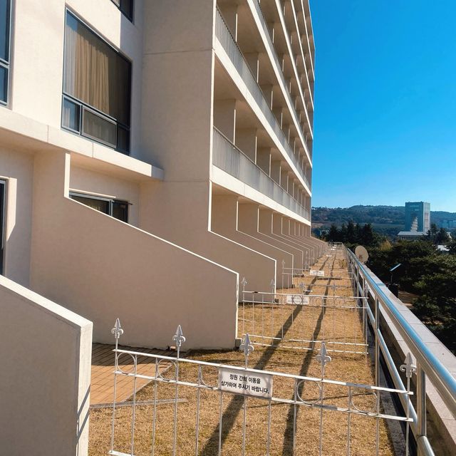 보문호수와 경주월드를 모두 볼 수 있는 호텔🏩