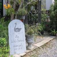 The Wild swans Café and Lake - คาเฟ่สวยนครปฐม