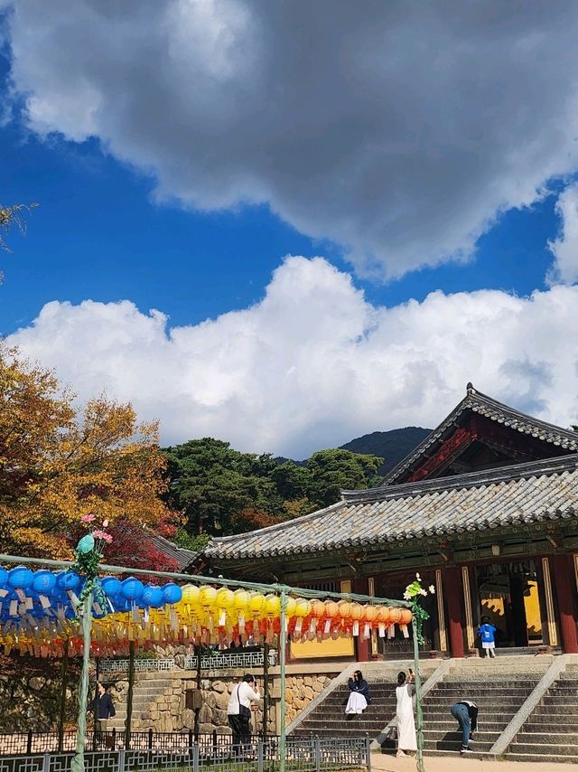 아름다운 도시 경주의 불국사를 소개합니다!