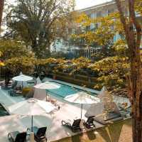 Lone Pine, The Boutique Hotel by The Beach