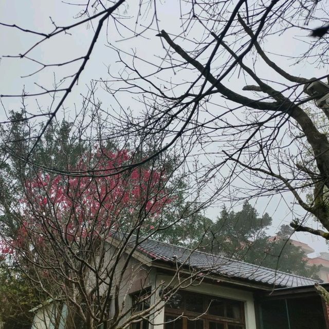 婚宴場地-1956 Vintage

