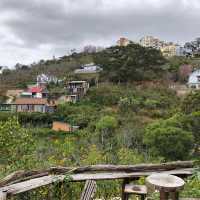 Nature-ful cafe with a valley view! 