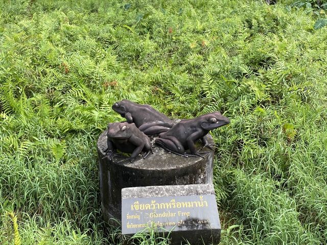 อุทยานแห่งชาติทะเลบัน ที่นี่โอบล้อมด้วยเทือกเขา