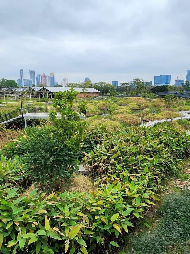 สวนเบญจกิติ🌱
