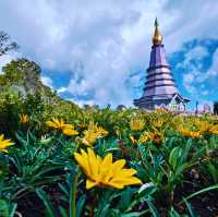 อุทยานแห่งชาติดอยอินทนนท์