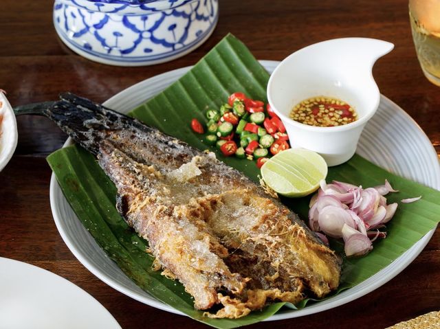 ครัวปากพยิง - ท่าศาลา นครศรีธรรมราช