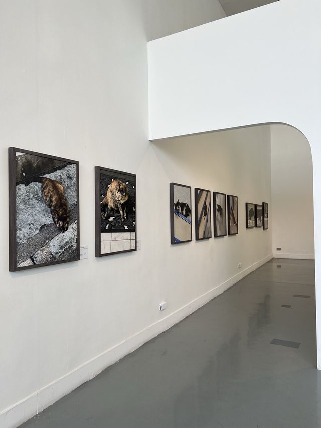 Art Exhibition หอศิลป์กรุงเทพ