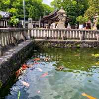 เทศกาลดอกไอริส 花じょうぶ祭