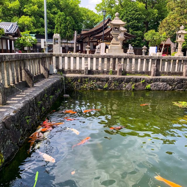 เทศกาลดอกไอริส 花じょうぶ祭