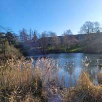 Botanisk Have, Copenhagen | Dreamlike Garden