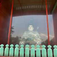 【 神奈川 / 鎌倉 】鎌倉文化の起点！鶴岡八幡宮⛩️