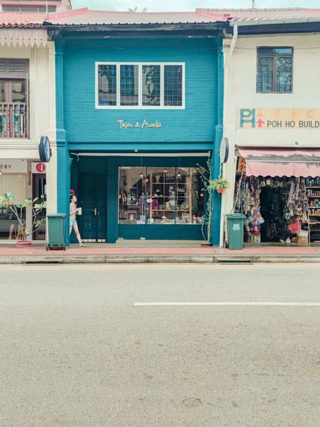 Peranakan Houses Joo Chiat 