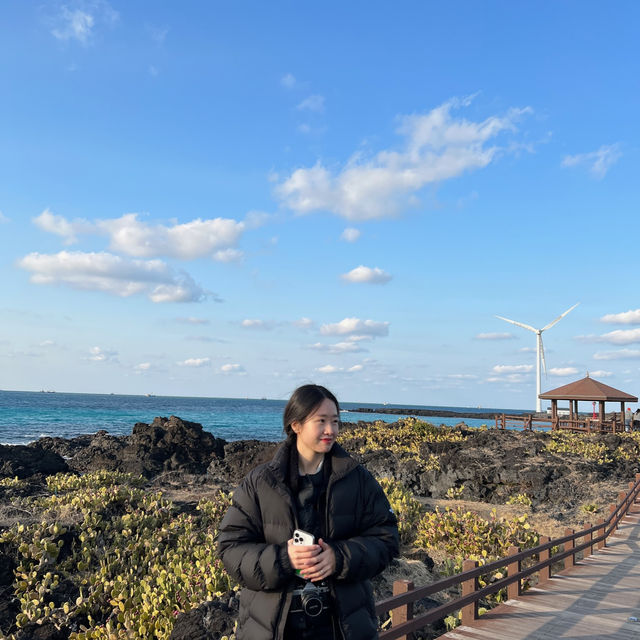 제주도 월령 선인장 마을, 선인장 군락지에서 찍은 인생샷 🌵📸