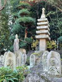 【東京都/小川寺】小平で美しい庭園が見られる寺院
