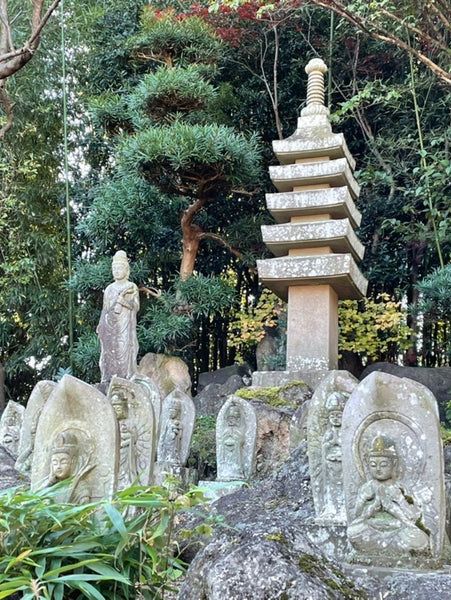 【東京都/小川寺】小平で美しい庭園が見られる寺院