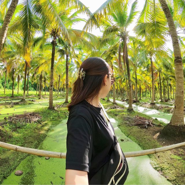 치앙마이 바파오 코코넛 플리마켓 이색적인 동남아 풍경🌴