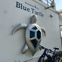 【宮古島】Blue Turtle
