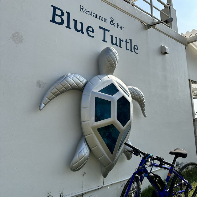 【宮古島】Blue Turtle