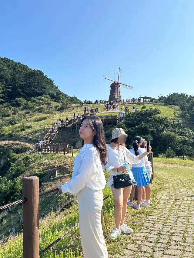 그림같은 풍경을 볼 수 있는 바람의 언덕💨🏝️