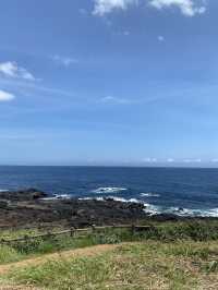떠나자! 제주도 우도🏝️
