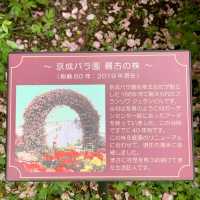 ロザリアン憧れの地　京成バラ園