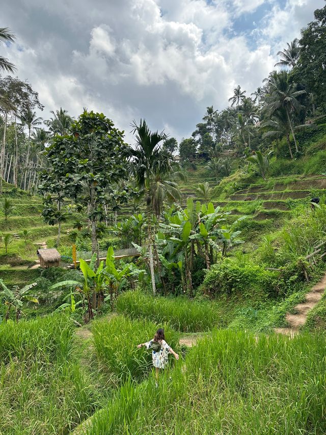 Ubud’s beauty 🌱🌳