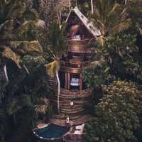 Green Village Bali 🇮🇩 🏡 