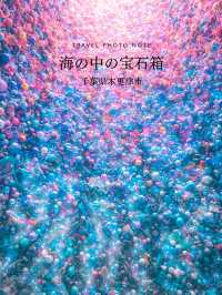 海のなかで宝石箱を開けたような世界観(千葉県木更津市)💎