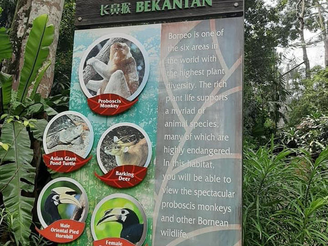 Singapore Zoo 🗺️