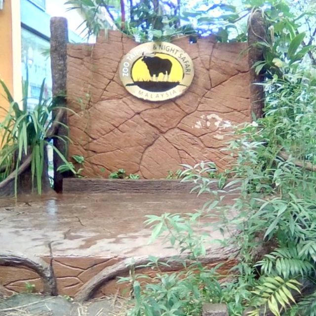 Visiting Taiping Zoo Animals 