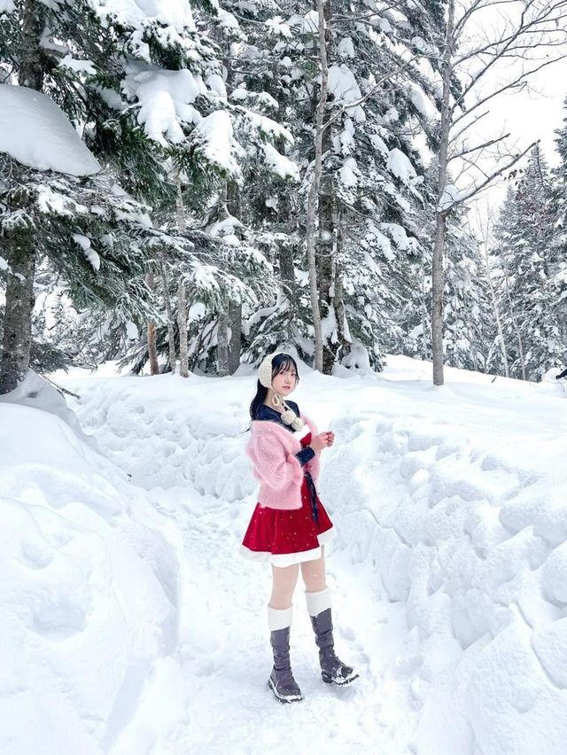 머리까지 쌓인 눈을 볼 수 있는 일본 설경 스팟❄️