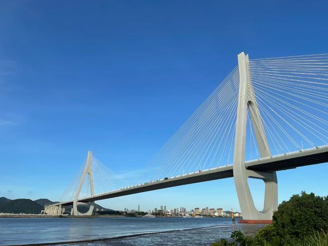 自然寧靜，探訪珠海橫琴芒洲濕地公園的翠綠樂土