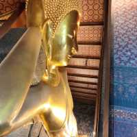 Wat Pho Buddha's serene gaze, thailand 