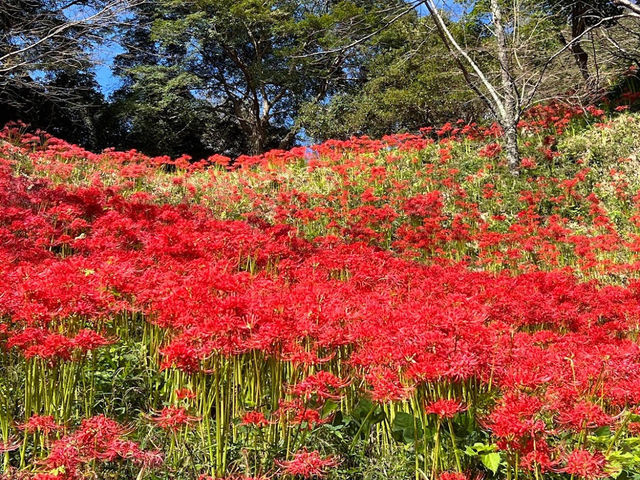 Shiroyama Park