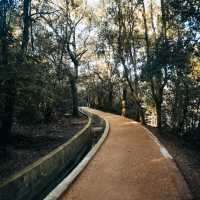 MAGNIFICENT WOODED PARK IN MARSEILLE.