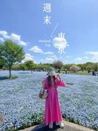 東京で絶景ネモフィラ！無料で楽しめる！舎人公園
